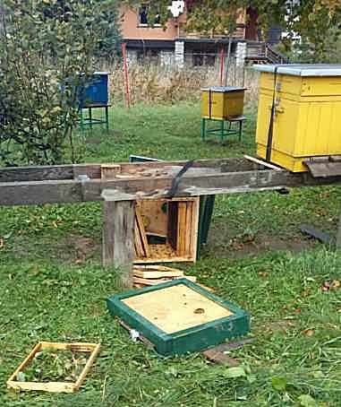 01 - IMG-20220102-201340-1.jpg