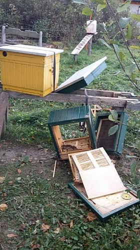 02 - IMG-20220102-201335-1.jpg