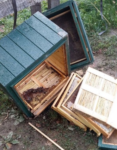 03 - IMG-20220102-201330-1.jpg