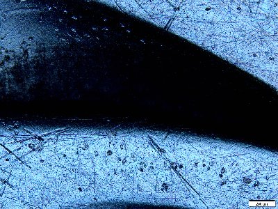 pani Magda123456789.jpg