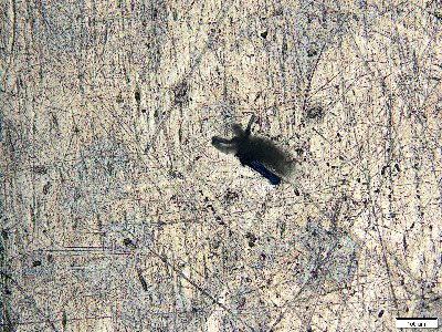 pan Karol123456789.jpg