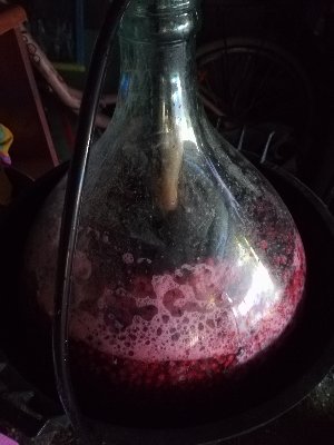 IMG_20180704_191848.jpg
