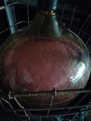 IMG_20180705_194852.jpg