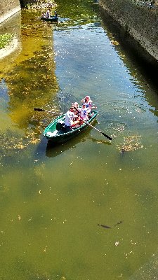 Mysikróliki w łódce :)