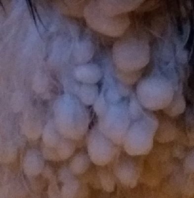 20180121_155454 (2).jpg