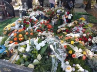 20210903_125721 (Średni).jpg